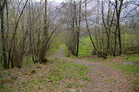 Un joli chemin arbor au dessus de Gaillagos