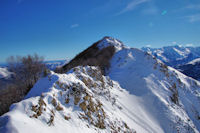 Soum de la Pne (antcime)