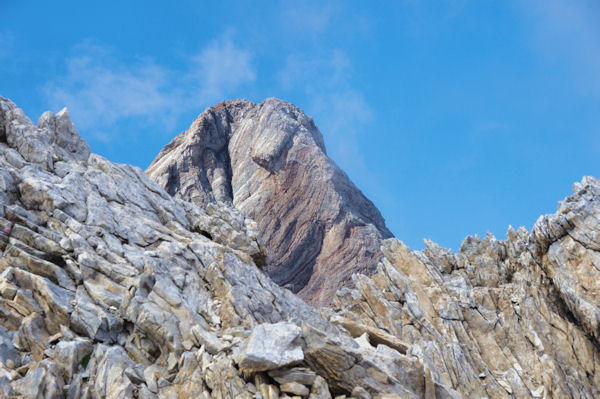 La Pique Longue