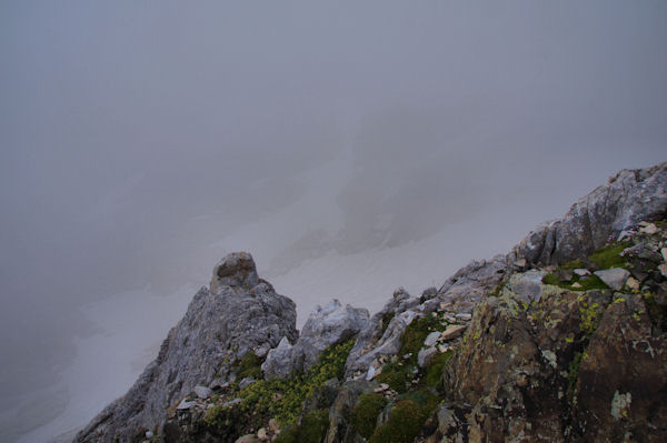 Le Glacier d_Ossoue depuis la crte du Petit Vignemale