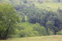 La grange de Las Coureyette cache dans les arbres