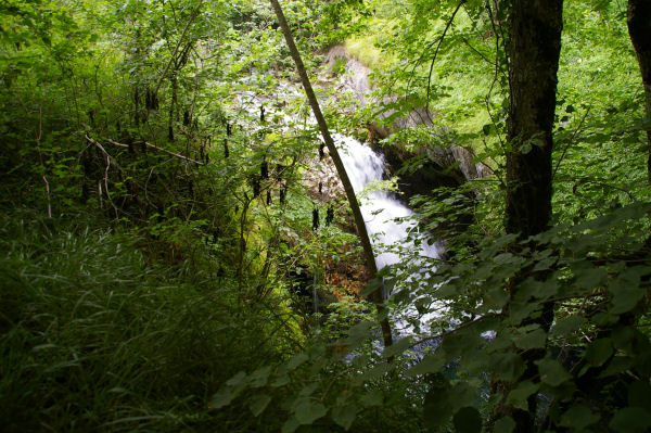 Une cascade du gave d'Arrens vers Peyrariose