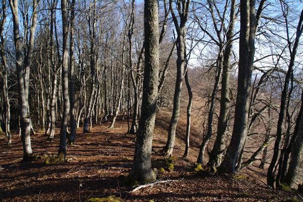 La crte de Soumassre