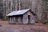 La cabanne du bois de Labd