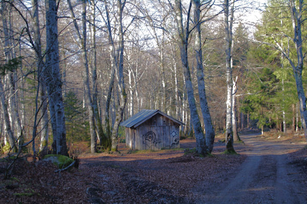 La cabanne du bois de Labd