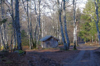 La cabanne du bois de Labd