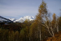 Les Gabizos depuis la sortie du bois d'Arrouret