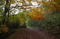 Le chemin de l'Arboretum a Arrens