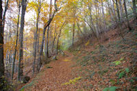 Le chemin de l'Arboretum  Arrens