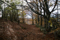 Le Bois de Lesterie