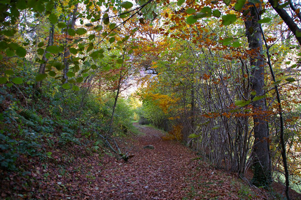 Le chemin de l'Arboretum  Arrens