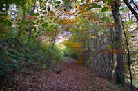 Le chemin de l'Arboretum  Arrens