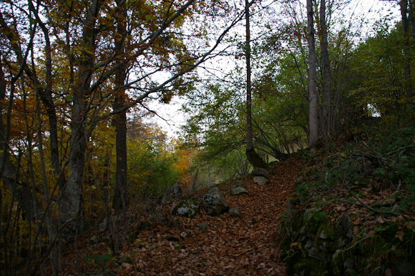 Le chemin arbor coupant 2 lacets de la route montant au Col des Bordres