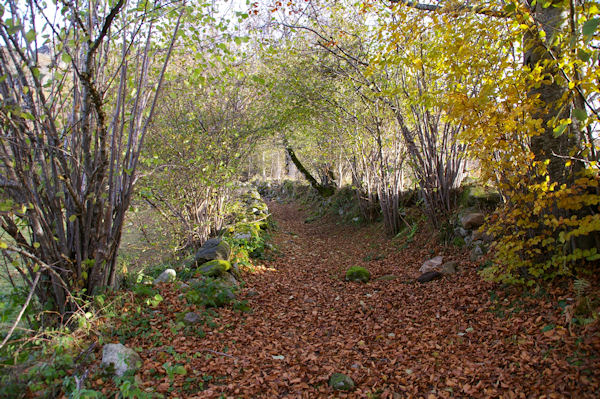 Le chemin montant  Arrouret