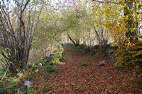 Le chemin montant  Arrouret