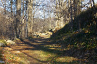 Le chemin arbore menant au Pic de Pan a Lesterle