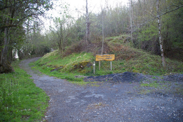 Direction l'Arboretum