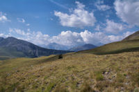 La Munia au fond