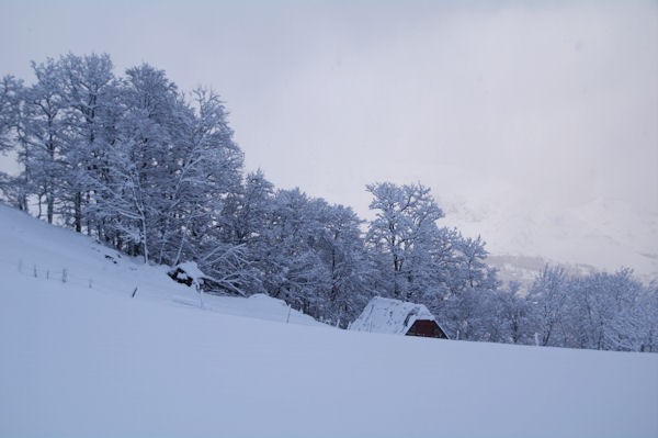 Grange sous le Tuc de Picou