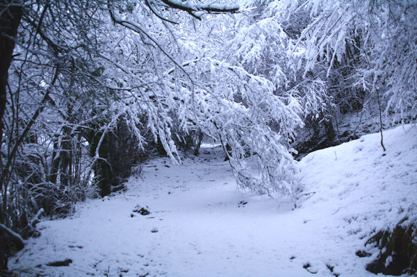 Le sentier de l_Arboretum d_Arrens