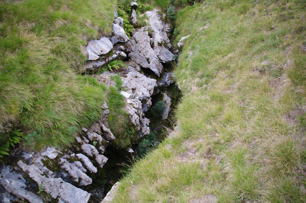 Doline au Plateau des Cabardous