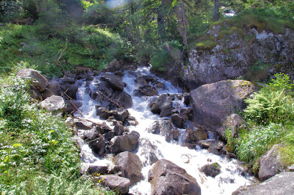 Petite cascade sur le Gave de Gaube