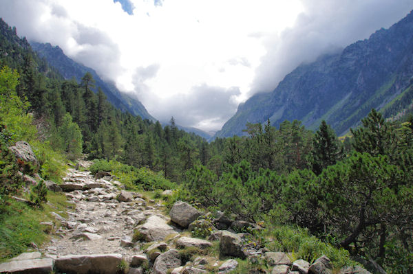 Le chemin avant d_arriver au Lac de Gaube