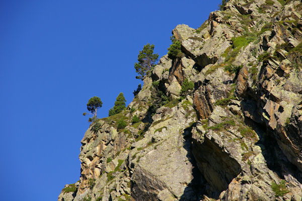 La crte Sud du Petit Arroubert