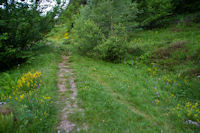 Le chemin entre Les Goules et l'Aouyassa