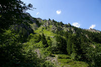 Dans le bois sous la Mouic, en descendant vers le Plaa d'Aste