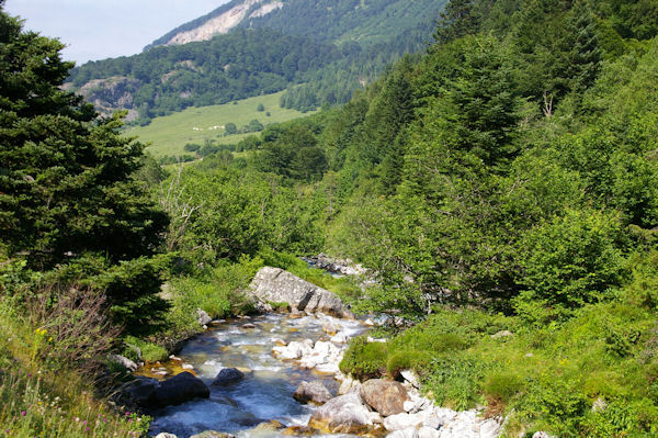 Le Gave d_Arrens avant le Lac du Tech