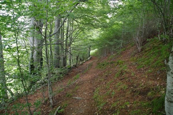 Le chemin sous le Cap du Soc