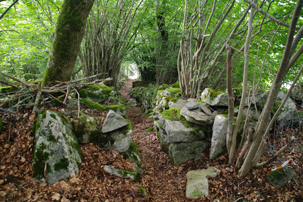 Le chemin sous le Cap du Soc