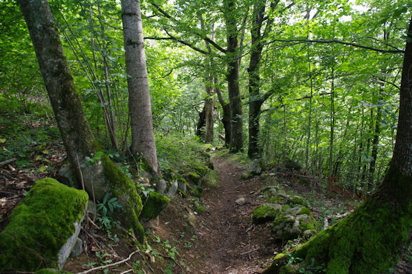 Le sentier sous le Tuc du Picou