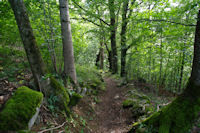 Le sentier sous le Tuc du Picou