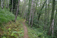 Le sentier de l'Arboretum d'Arrens