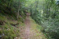 Le sentier de l'Arboretum d'Arrens