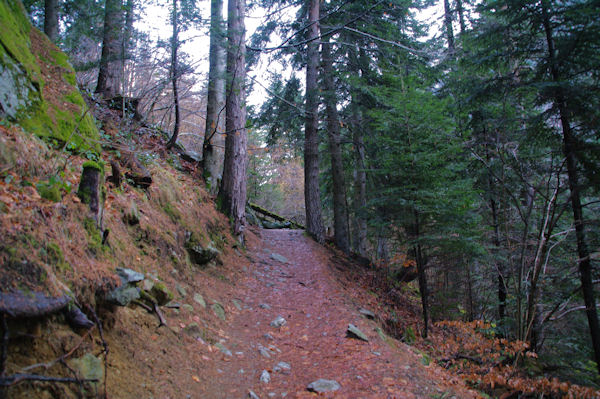 Le sentier au dessus du Pont de Benqus