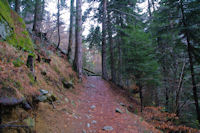 Le sentier au dessus du Pont de Benqus