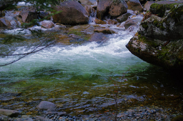Les eaux vertes du Gave du Marcadau