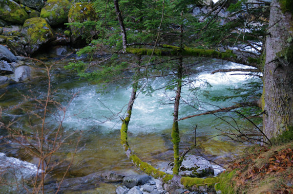 Le Gave du Marcadau sous la cascade d_Escane Gat