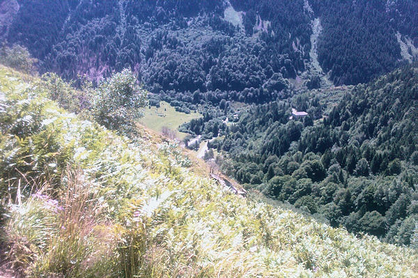 La valle du Gave d_Arrens au confluent avec le ruisseau de Labas