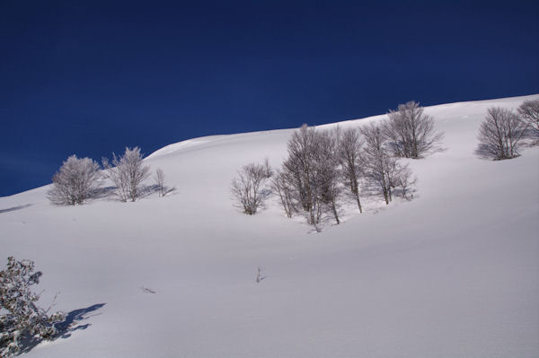 La Crte de la Serre