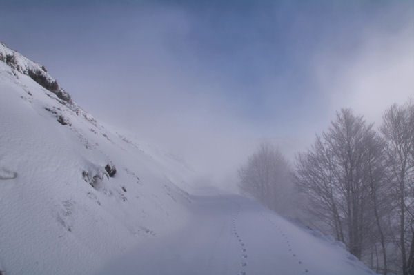 Le chemin sous la Crte de la Serre