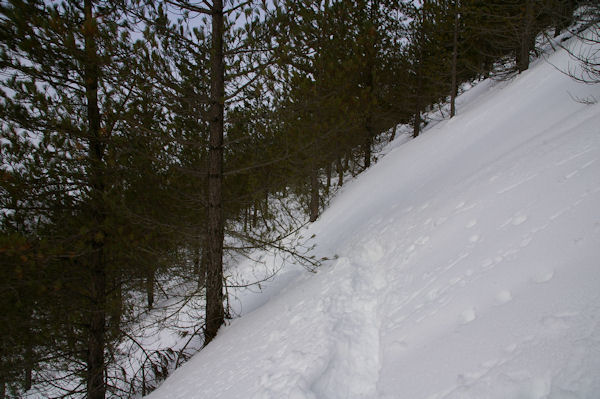 Sous le Soum de Berducou en direction du Col de Berbeillet