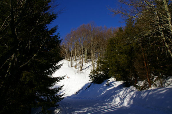 En montant au Col de la Serre depuis le Col de Couraduque