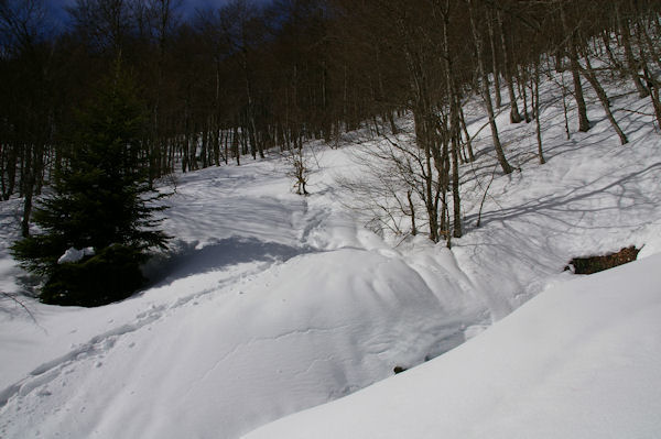 Une source au dessus du Cap d_Aguses