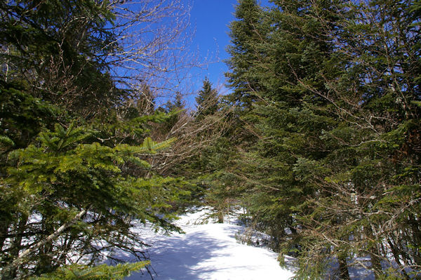 En remontant vers le Col de la Serre