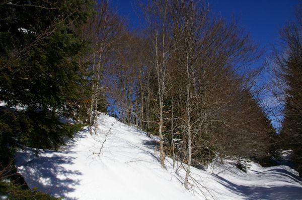 En remontant vers le Col de la Serre