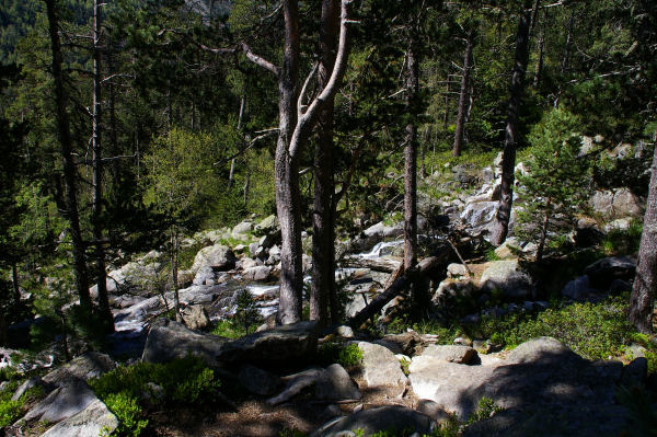 Le ruisseau descendant des Laquettes